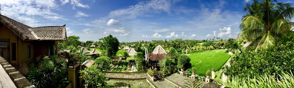 Wapa di Ume, Ubud by Glamorazzi 5 Panoramic View