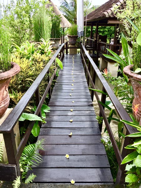 Beautiful Bridge at Wapa di Ume