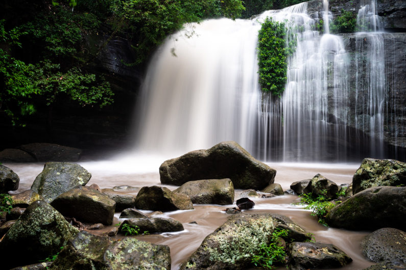 Rankin-Adrian-Buderim-2