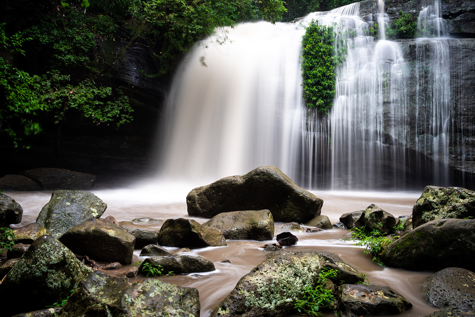 Serenity At Buderim Forest Park