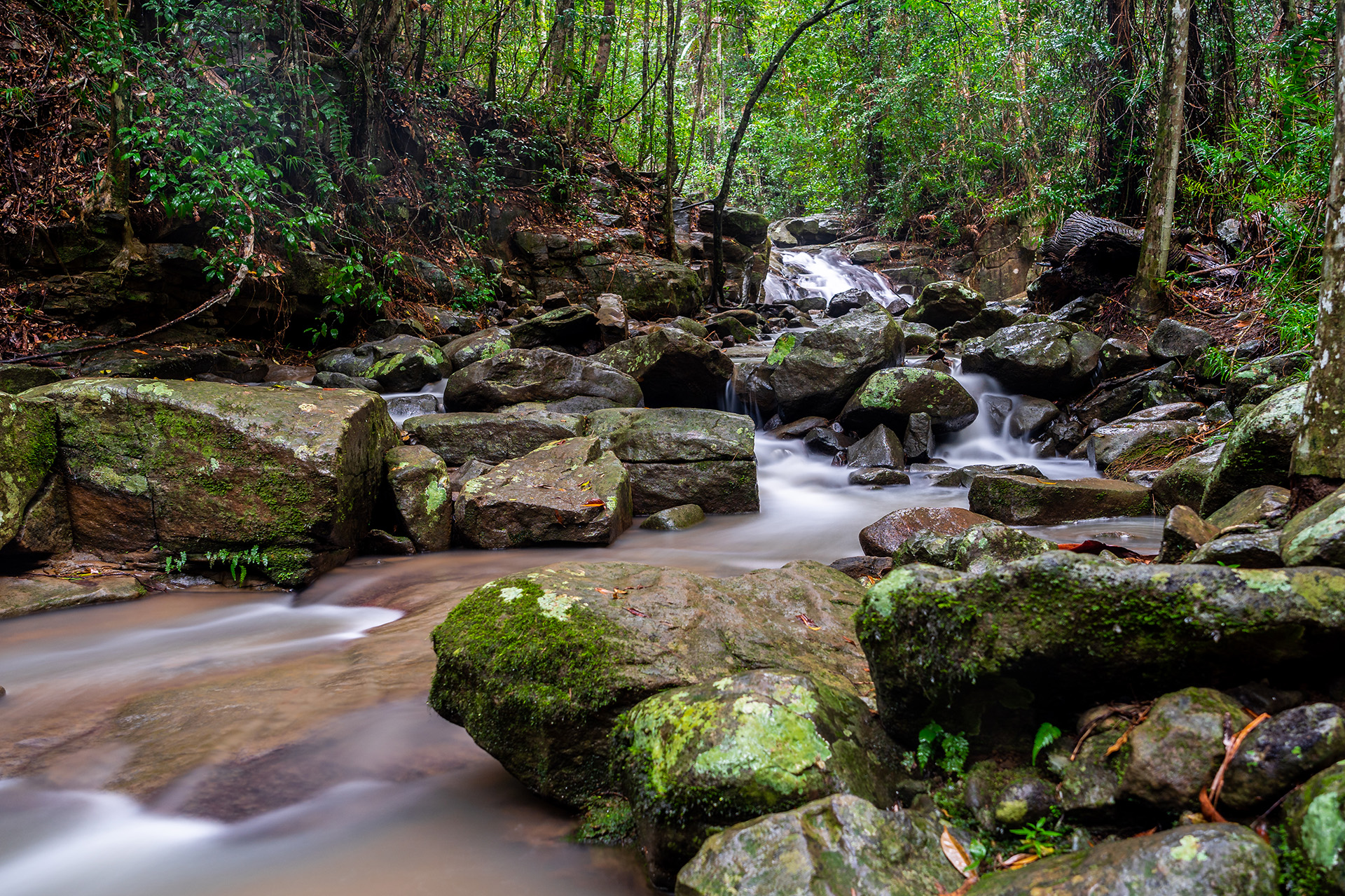 Serenity At Buderim Forest Park